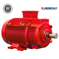 Motor eléctrico trifásico para bombas de agua contra incendios IP55 1HP/380VAC 60HZ, PEDROLLO