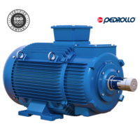 Motor eléctrico trifásico de 1HP/220VAC 60HZ, PEDROLLO