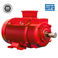 Motor eléctrico trifásico para bombas de agua contra incendios IP55 1HP/380VAC 60HZ, WEG