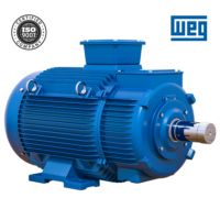 Motor eléctrico trifásico de 1HP/220VAC 60HZ, WEG